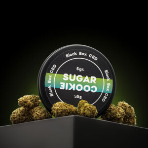 Sugar cookie - The Black Box